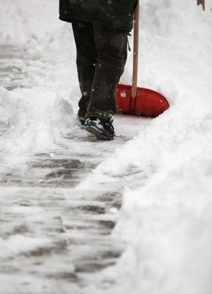Aurich Gartenpflege Gartengestaltung Winterdienst Dienstleistungen